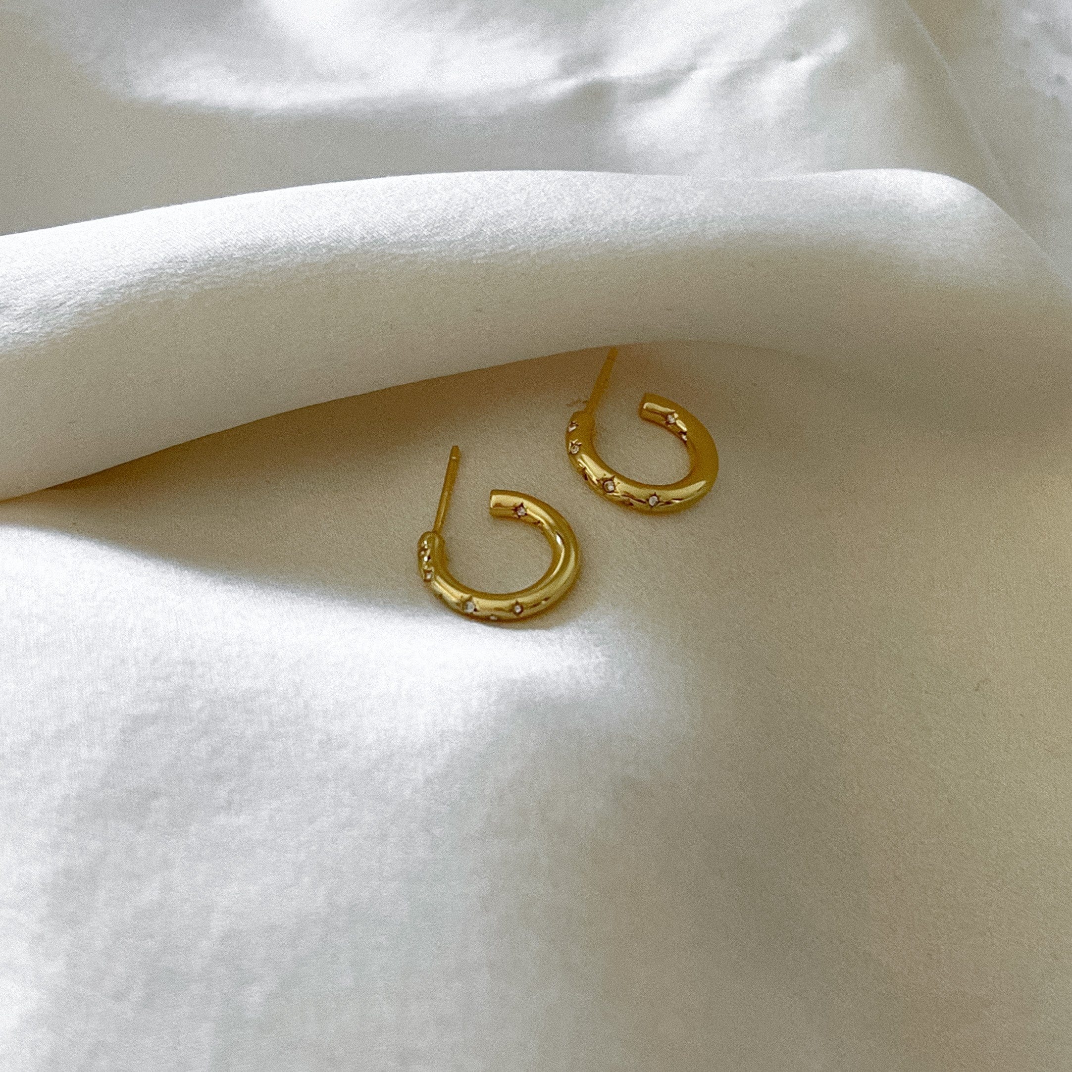 LE sensor earrings Nala Earrings