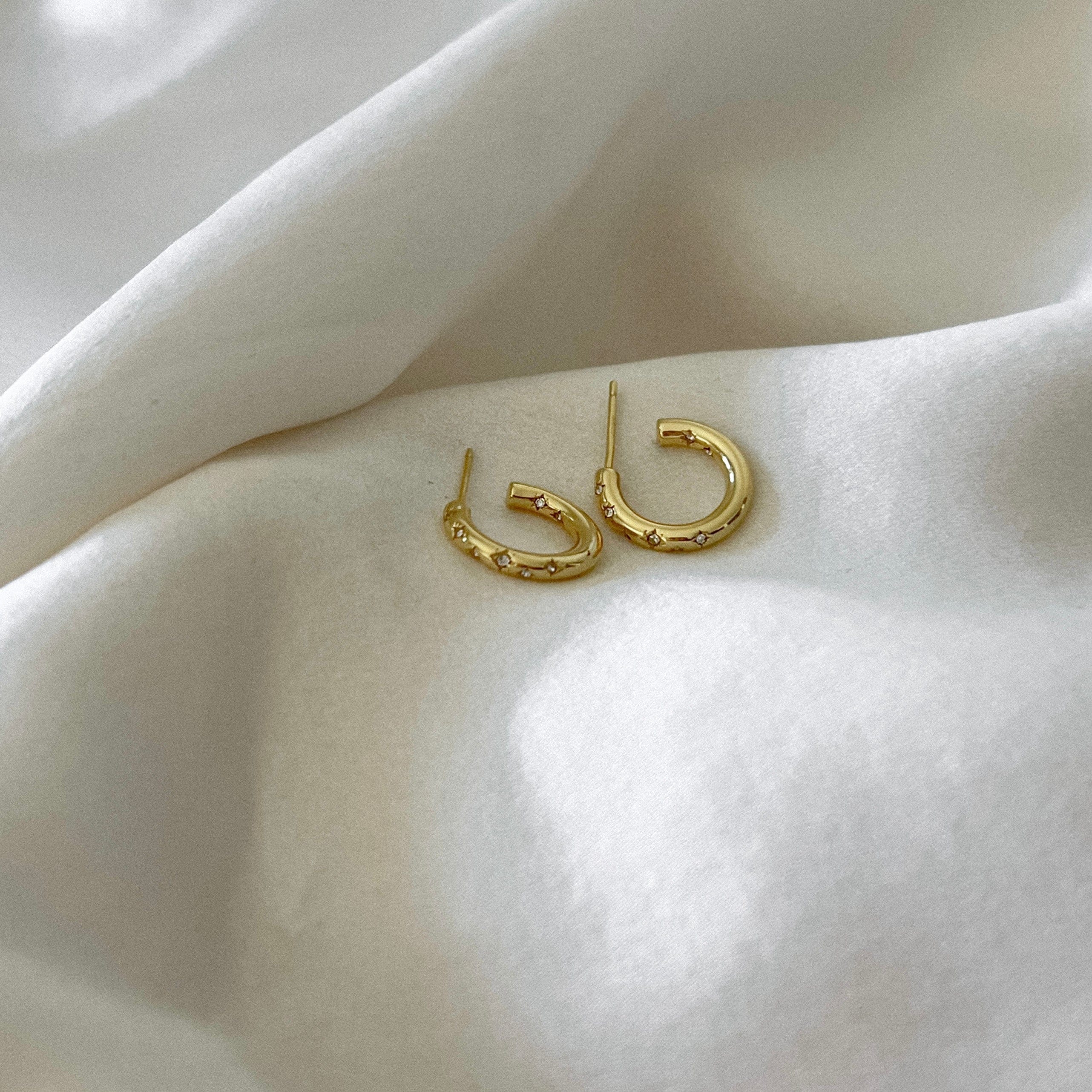 LE sensor earrings Nala Earrings